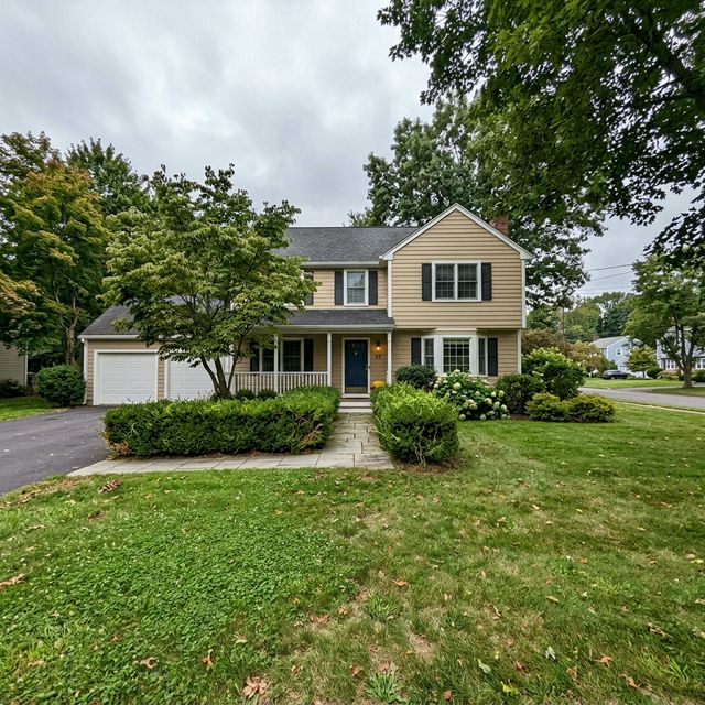 Before Hedge Trimming