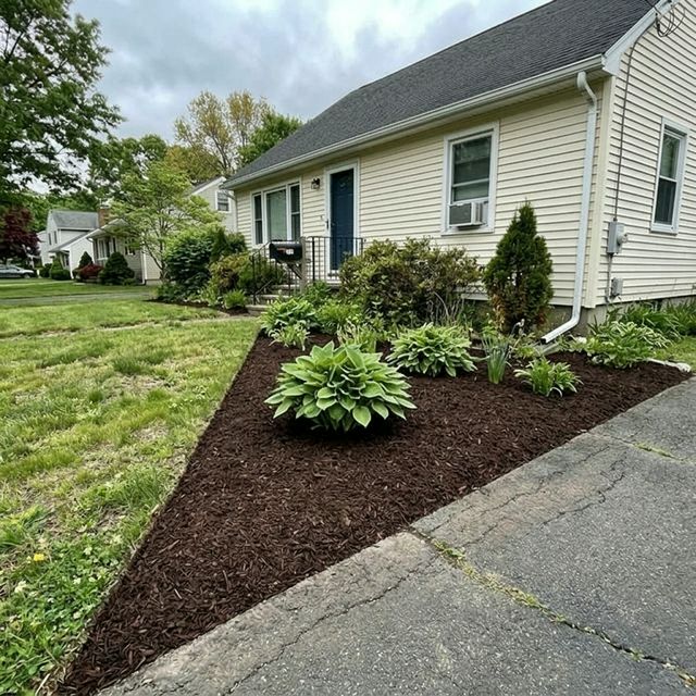 After Mulching